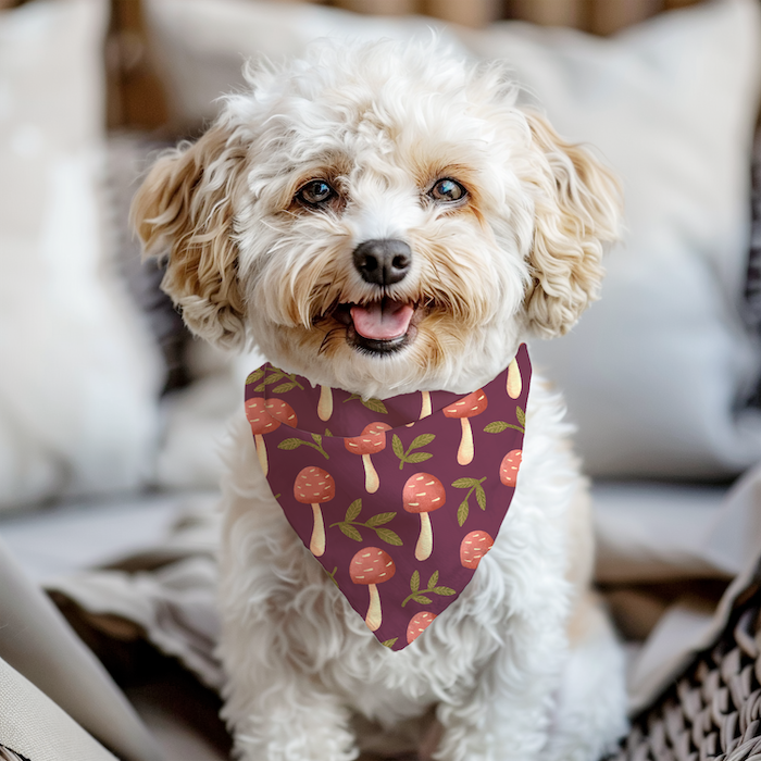 Small dog wearing pet bandana with cute forest mushrooms