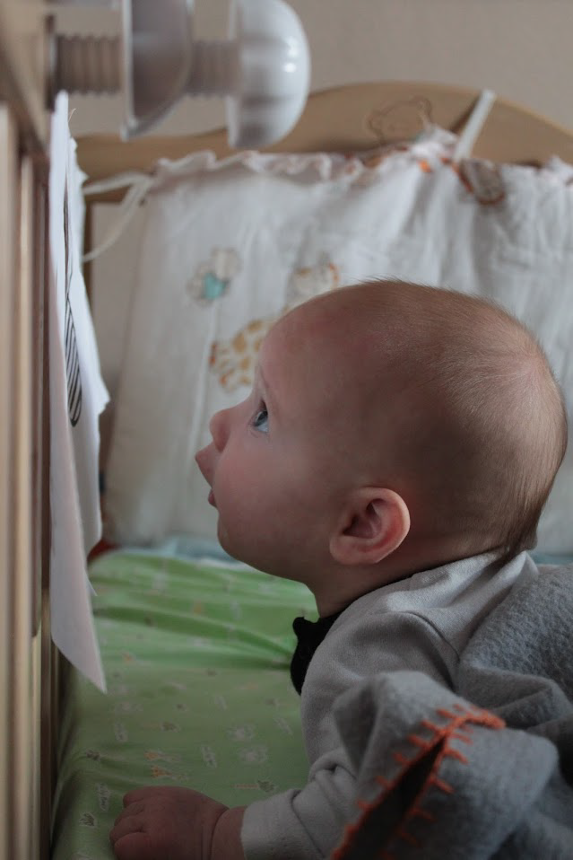 baby in the crib looking at black and white pictures